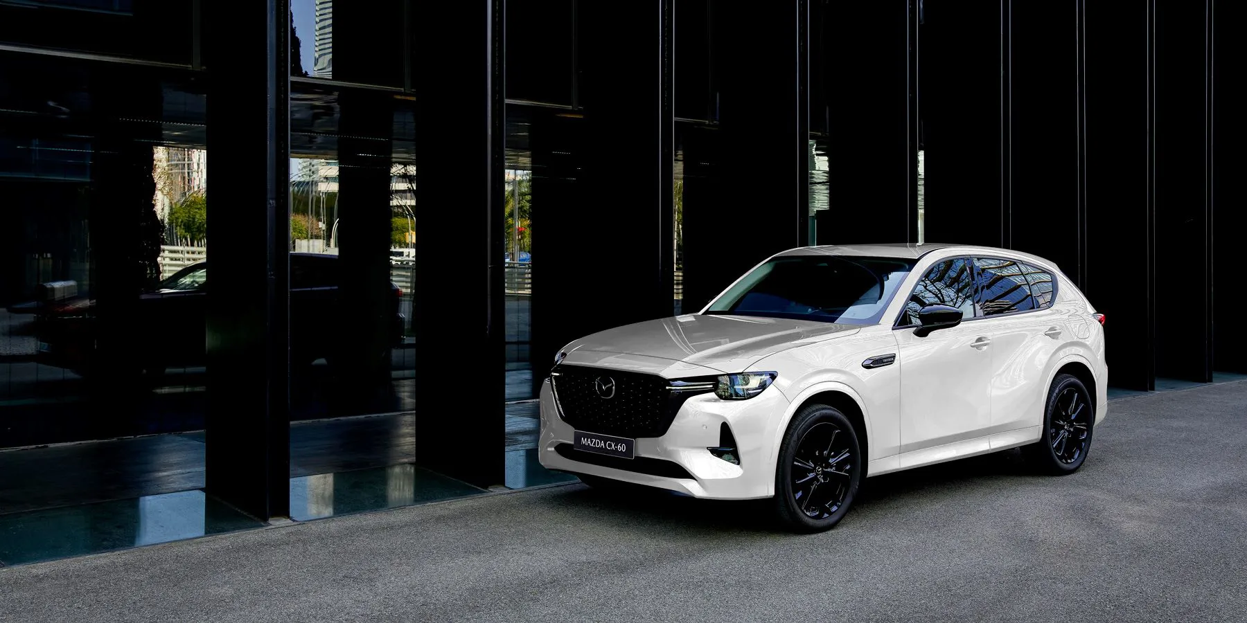 2022 Mazda Cx 60 1800X900r