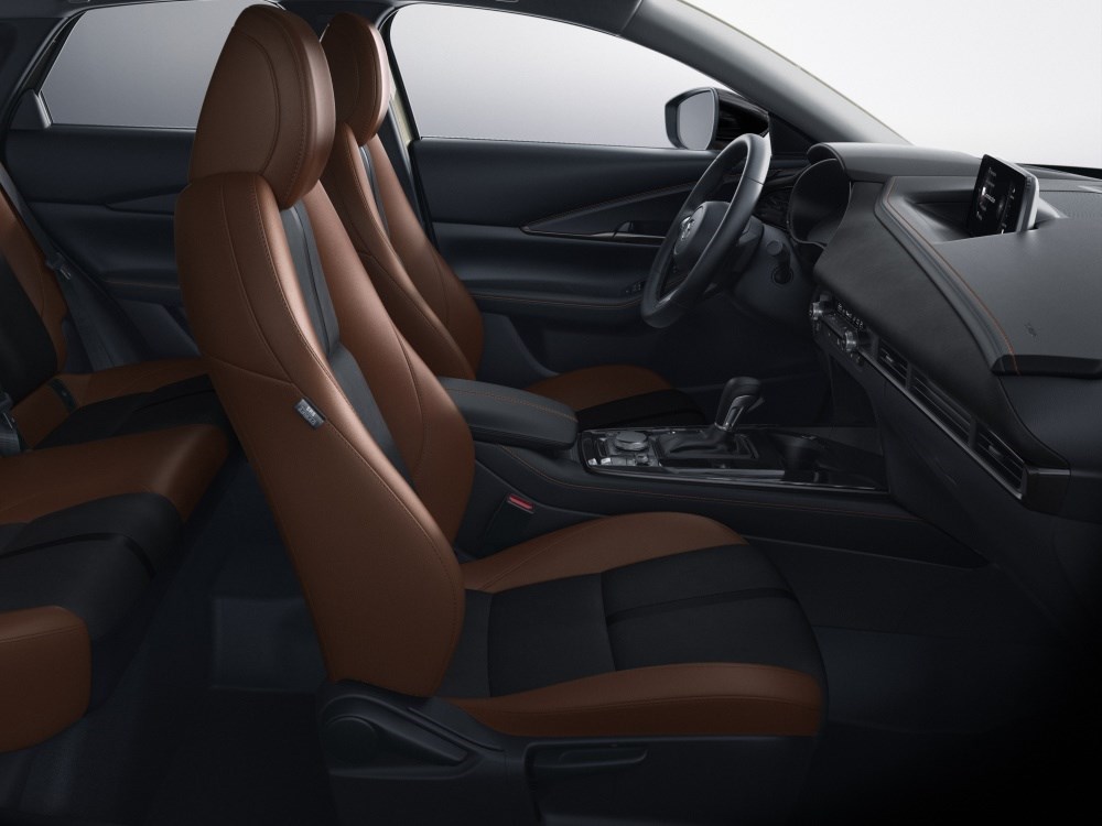 Cx 30 Nagisa Interiorr
