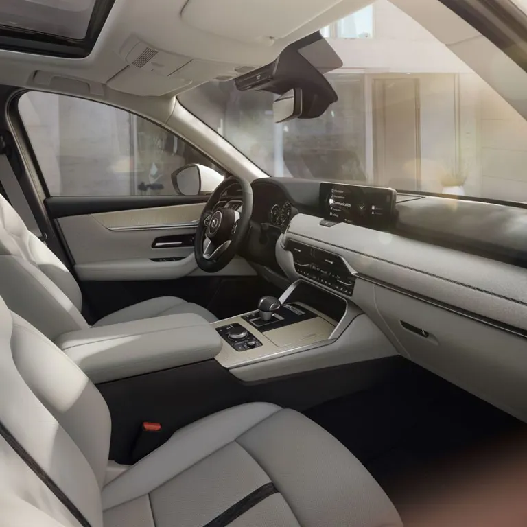 Cx 60 Takumi Interior Nappa