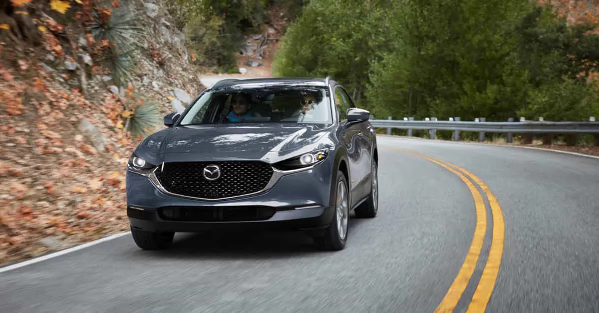 Cx 30 Model